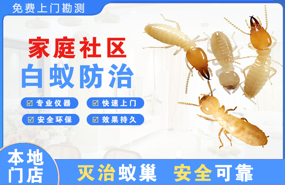 简阳家庭社区白蚁防治