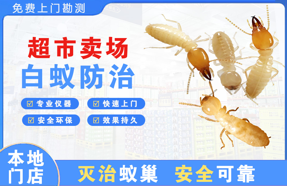 简阳超市卖场白蚁防治