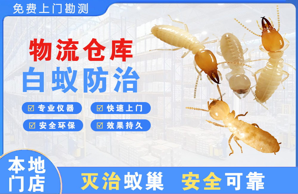 简阳物流仓库白蚁防治