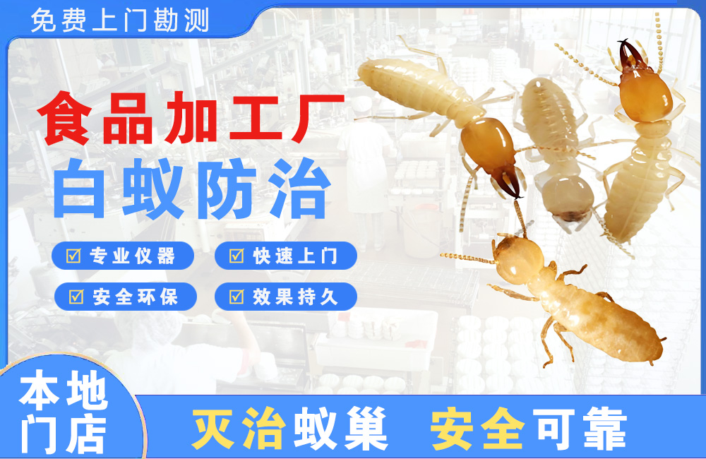 简阳食品加工厂白蚁防治