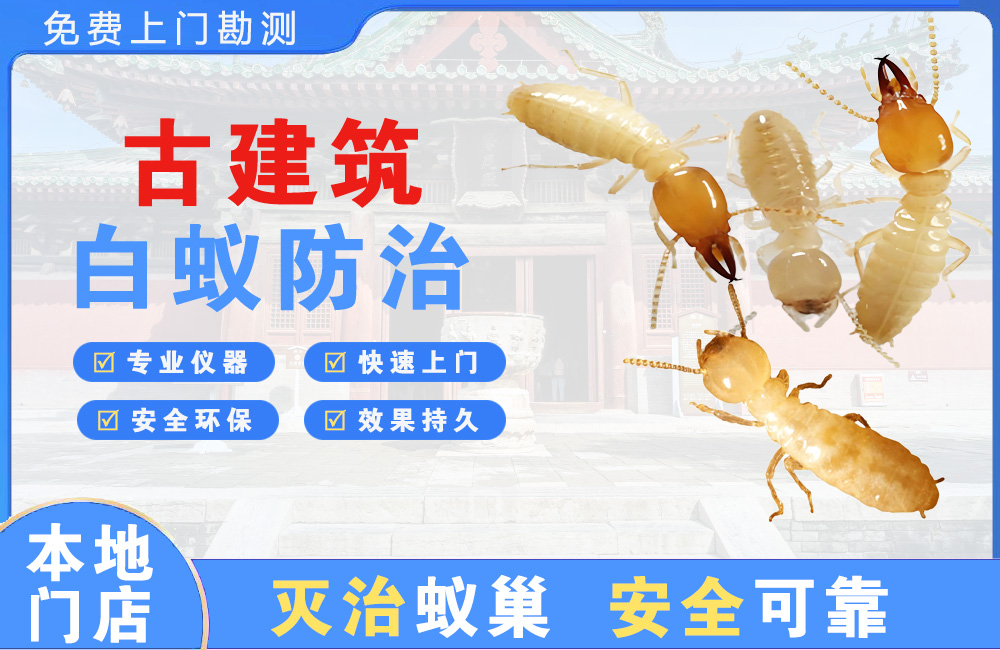 简阳古建筑白蚁防治