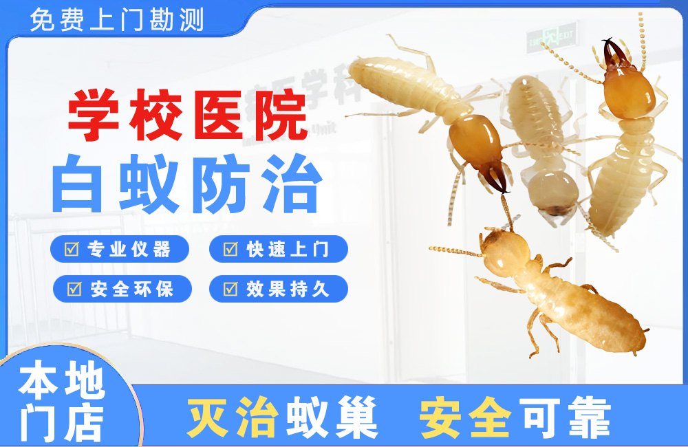 简阳学校医院白蚁防治