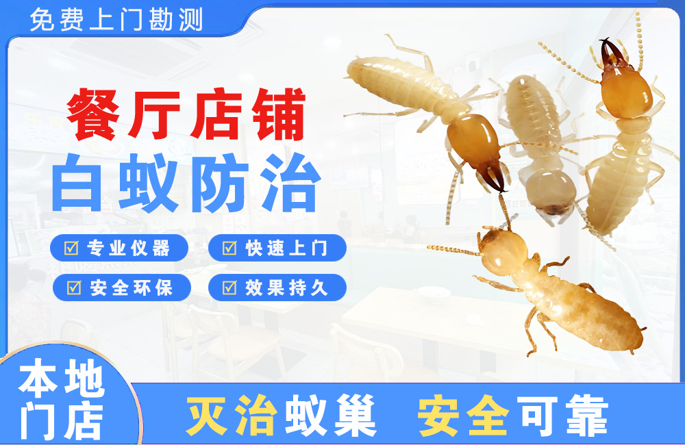 简阳餐厅店铺白蚁防治